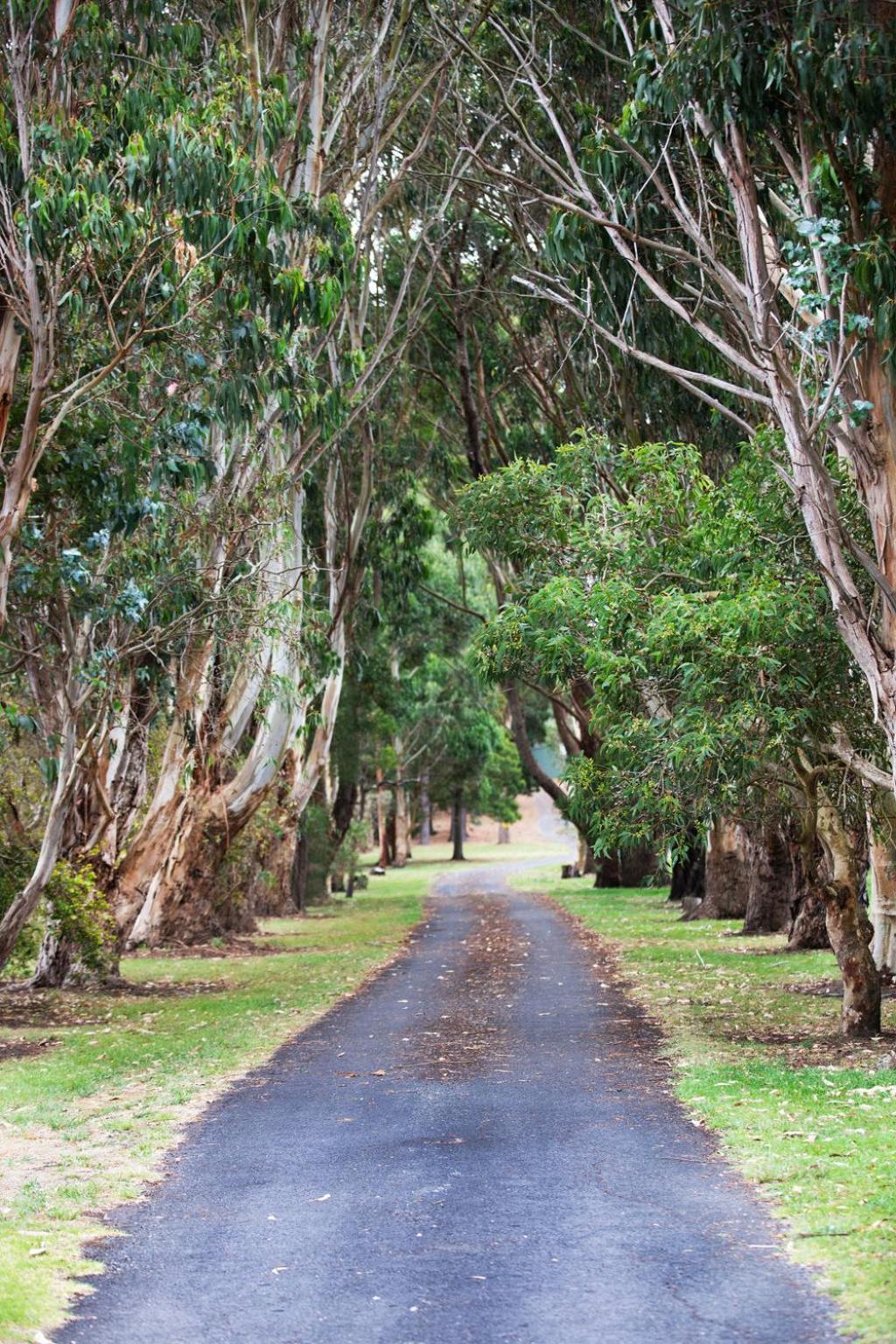 Clarendon Chalets Mount Gambier Exterior foto